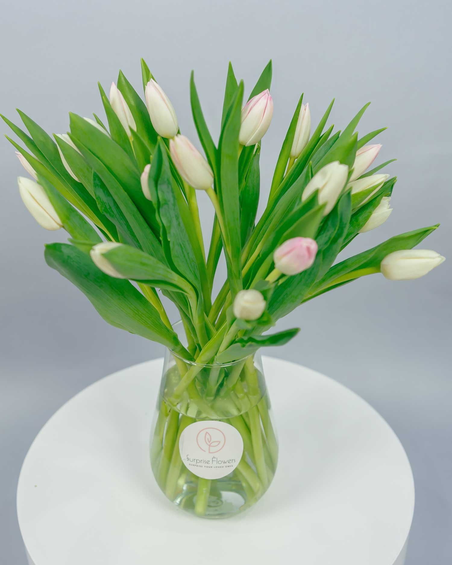 2 Dozen Pink & White Tulips In A Vase